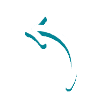 Seta Curva Sticker by Amarante Hoteis