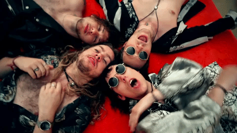 primadonna like me GIF by thestruts