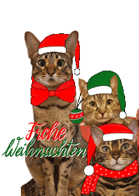Christmas Cats Sticker by Lieblings-Stück