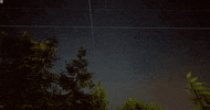 Animation 3D GIF by erica shires