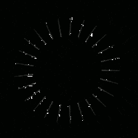 3D Flower Sticker by Quasi Crystals