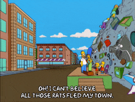 homer simpson omg GIF