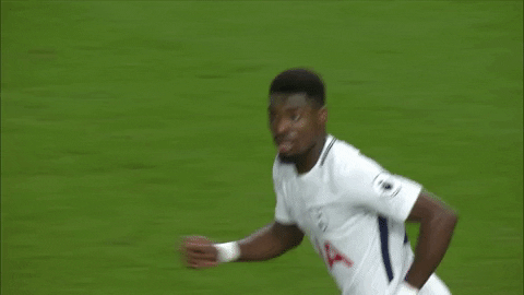 london football GIF by Tottenham Hotspur