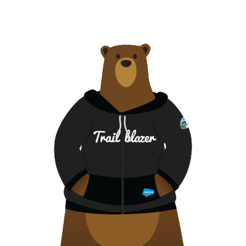 bear blazing Sticker by Dreamforce & Salesforce Events