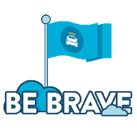 Car Flag Sticker by Carvana