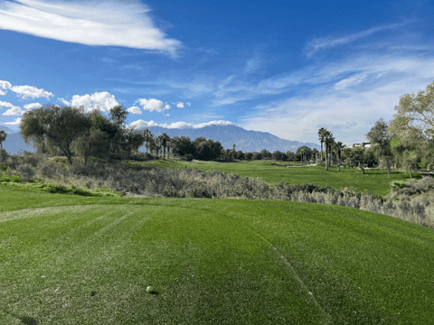 craigspiesman giphygifmaker giphyattribution GIF