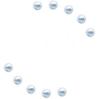 Osut Sticker by Organizația Studenților din Universitatea de Vest din Timișoara
