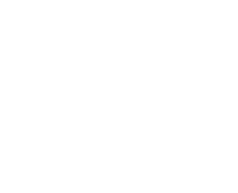 Shandesign Sticker