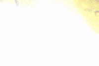 On Fire GIF by Valparaiso University