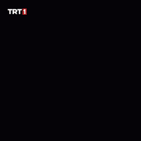Soldier Asker GIF by TRT