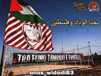 Morocco Palestine GIF