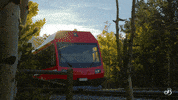 Colorado Springs Travel GIF by The Broadmoor