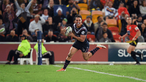 MelbourneStormRLC giphyupload melbourne storm msrlc GIF