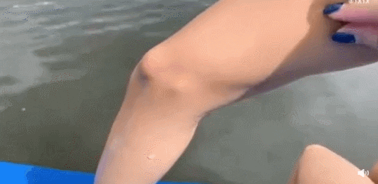 giphyupload GIF