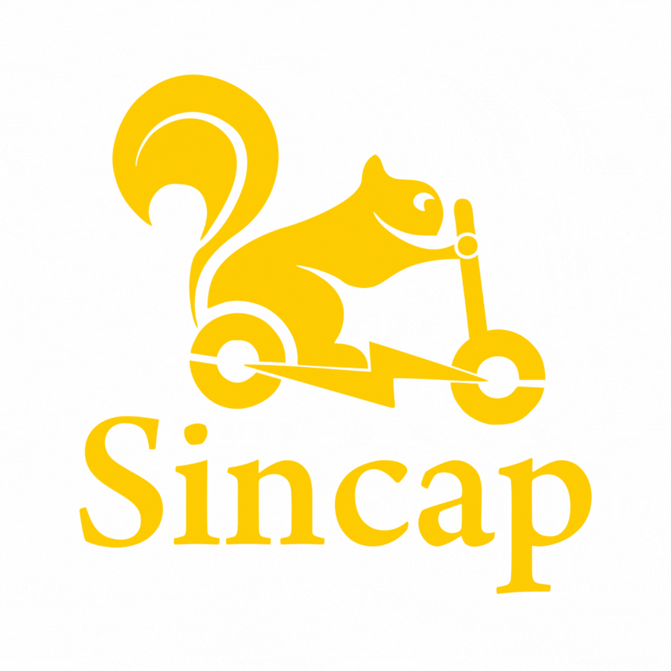 SincapScooter giphyupload sincap sincapscooter GIF