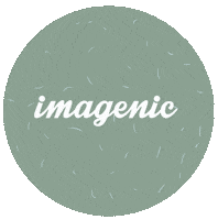 Wedding Photography Sticker by Imagenic