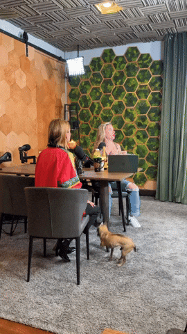 Dying Laughing Comedy GIF by Jessimae Peluso