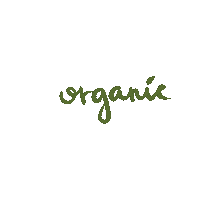 Food Health Sticker