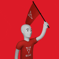 WojakFans meme crypto nft flag GIF