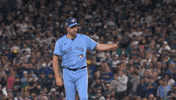 Blue Jays Canada GIF by Toronto Blue Jays