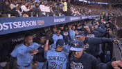 Blue Jays Baseball GIF by Toronto Blue Jays