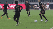 GIF by LAFC