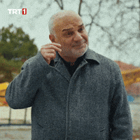 Orchestra Conductors GIF by TRT