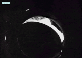 cookie jar hello GIF by Turner Classic Movies