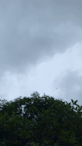 rainfrop