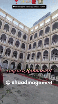Shaadmagomed GIF
