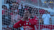 Sl Benfica Slbgifs GIF by Sport Lisboa e Benfica