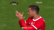 Sl Benfica Clap GIF by Sport Lisboa e Benfica