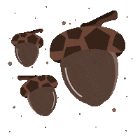 Fall Acorn Sticker
