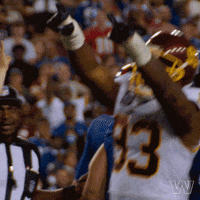 Washington Football Team Nfl GIF by Washington Commanders