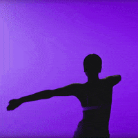 museodelchopooficial vogue voguing museodelchopo voguechopo GIF