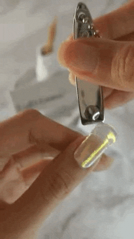 aja1234 giphyupload GIF