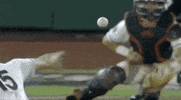 Baseball College GIF by NCAA Championships