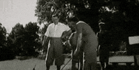 Movie Film GIF