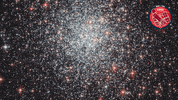 Deep Space Stars GIF by ESA/Hubble Space Telescope
