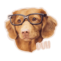 Best Friend Yes Sticker
