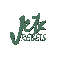 Jetski Aquabike Sticker by JetRebels
