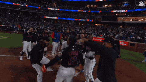 Celebrate Home Run GIF by New York Mets