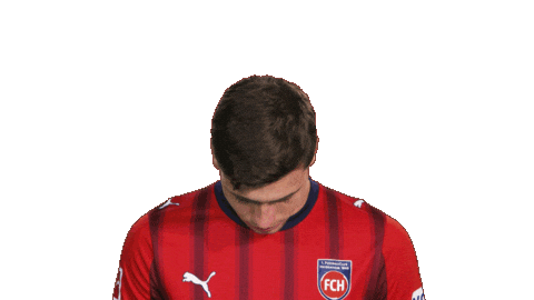 Look Up Fc Heidenheim Sticker by Bundesliga
