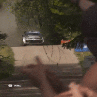 Finland GIF by FIA World Rally Championship