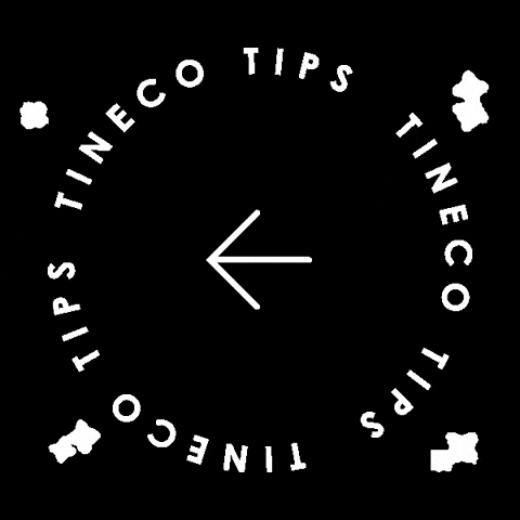 Cleaning Tips GIF by Tineco