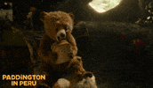 Adventure Rolling GIF by Studiocanal UK