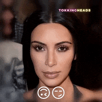 tokkingheads  GIF
