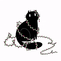 black cat GIF by BuzzFeed Animation