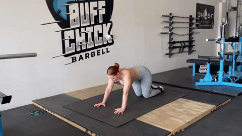 megsquats giphyupload GIF
