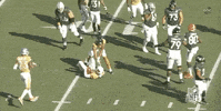 National Football League GIF by NFL